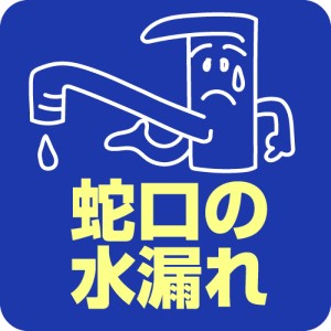 蛇口の水漏れ
